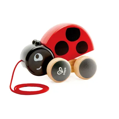 Schiebetiere, Hape, Mehrfarbig – Besonderheit: aus Holz