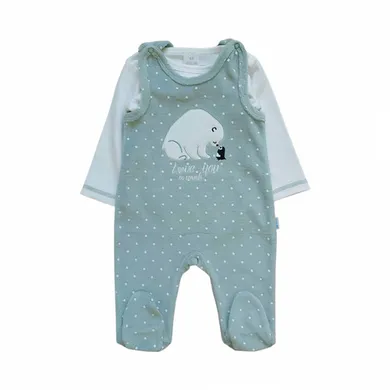 Strampler, LITTLE ONE, Grün – Besonderheit: bestehend aus Strampler und Langarmshirt