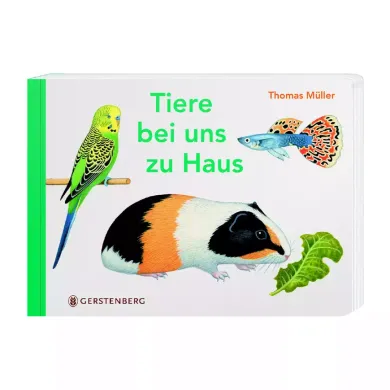 Kinderbücher, Gerstenberg, Mehrfarbig – Besonderheit: spielerisches Lernen