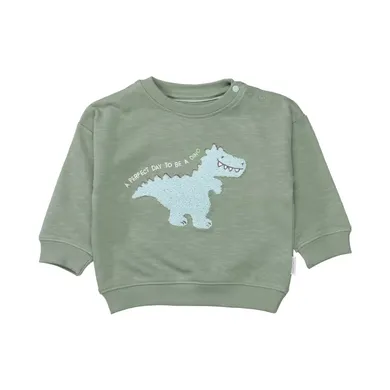 Pullover & Sweatshirts, STACCATO, Grün – Besonderheit: aus 100% Baumwolle