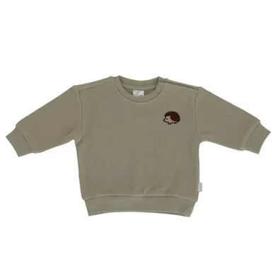 Pullover & Sweatshirts, LITTLE ONE, Grün – Besonderheit: aus 100% Baumwolle