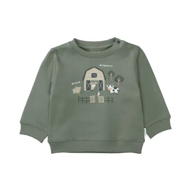 Pullover & Sweatshirts, STACCATO, Grün – Besonderheit: aus 100% Baumwolle