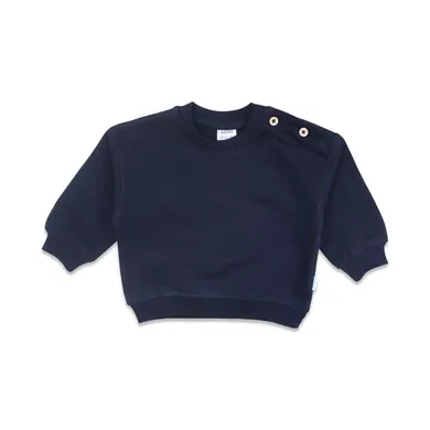 Pullover & Sweatshirts, LITTLE ONE, Blau – Besonderheit: aus 100% Bio-Baumwolle