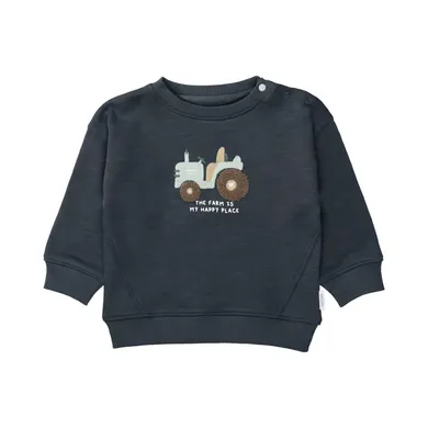 Pullover & Sweatshirts, STACCATO, Grau – Besonderheit: aus 100% Baumwolle