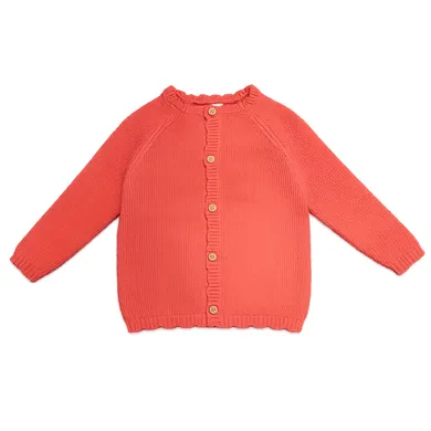 Sweat-, Fleece- & Strickjacken, LITTLE, Rot – Besonderheit: aus 100% Baumwolle