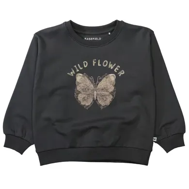 Pullover & Sweatshirts, BASEFIELD, Grau – Besonderheit: aus 95% Baumwolle