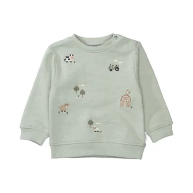 Pullover & Sweatshirts, STACCATO, Grün – Besonderheit: aus 100% Baumwolle