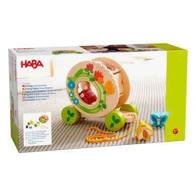 Steckspielzeug, HABA, Grün – Besonderheit: Sortierbox mit Schmetterling, Marienkäfer und Biene