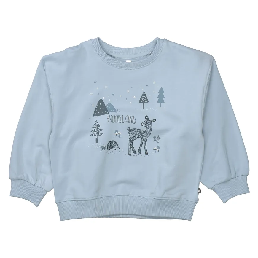 Pullover & Sweatshirts, BASEFIELD – Produktansicht