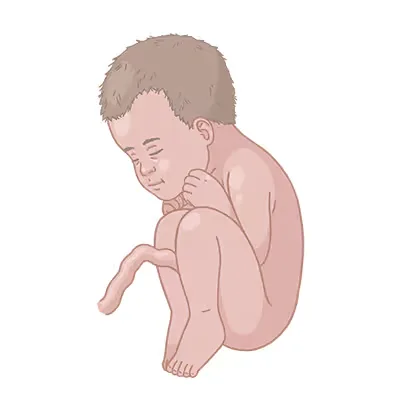 Baby ein, das mit dem kopf auf dem boden sitzt.