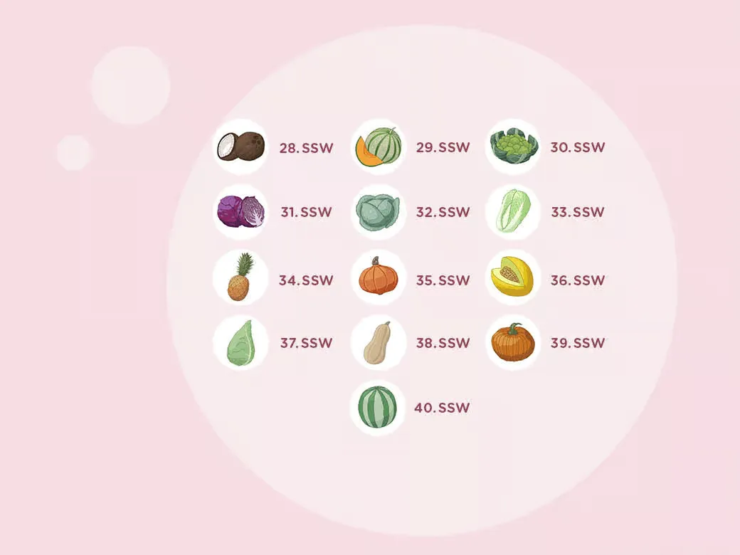Hintergrund ein rosa mit einem kreis von verschiedenen obst und.