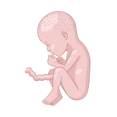 Baby ein, das auf dem boden sitzt, mit den händen.