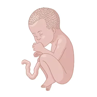 Baby ein, das auf dem boden sitzt, mit den händen.