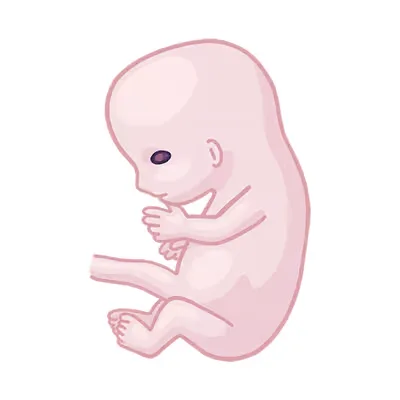 Baby ein sitzt auf dem bauch und schaut auf die.