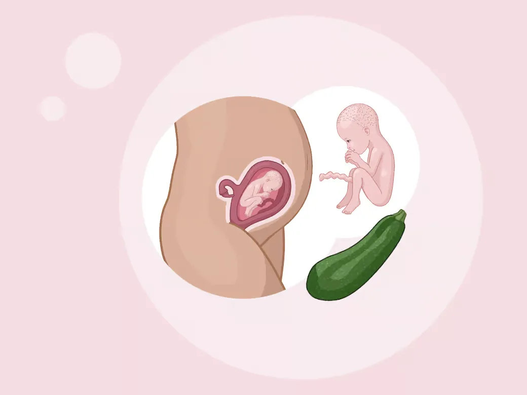 Illustration eine eines kindes im mutterleib.