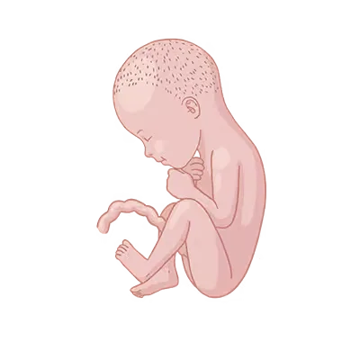 Baby ein, das mit seinen händen auf der brust auf.