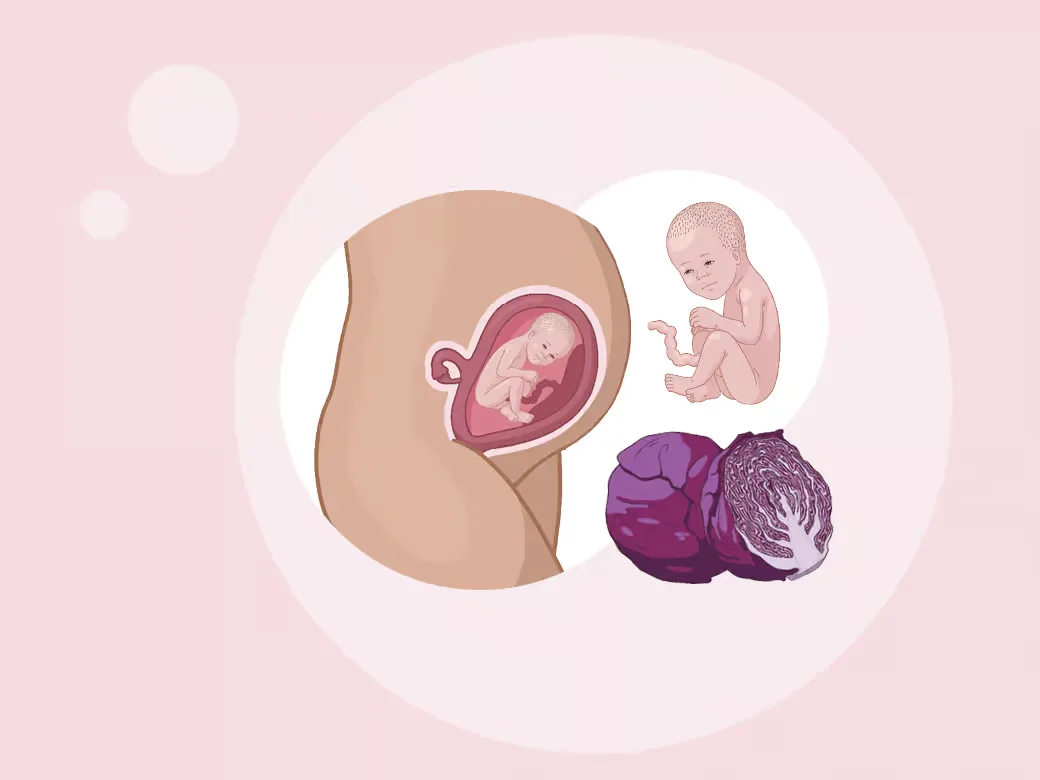 Person eine, die ein baby im magen hält.