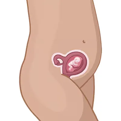 Magen einer frau mit einem kleinen int im bauch.