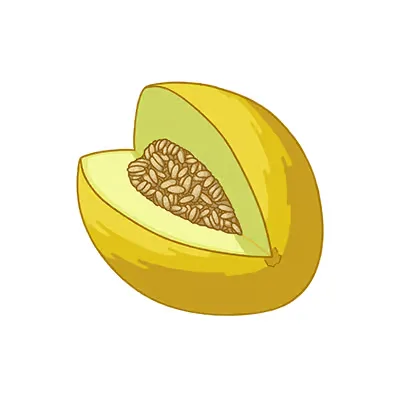 Stück ein melonenfrucht mit samen.