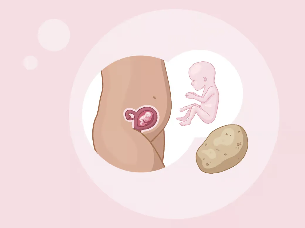Illustration eine eines kindes im mutterleib.