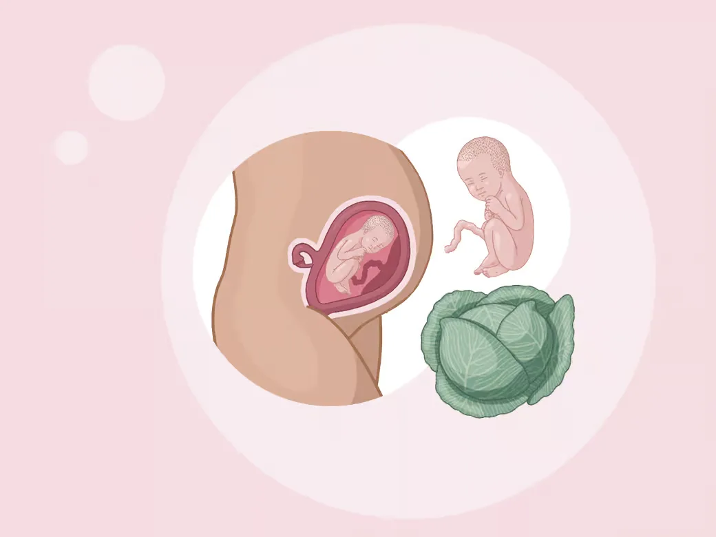 Baby ein im mutterleib und eine mutter im mutterleib.