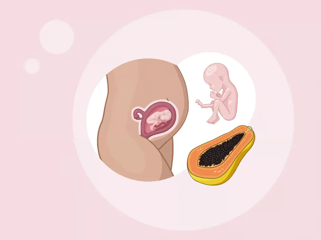 Baby ein im mutterleib und ein papa papa papa papa.