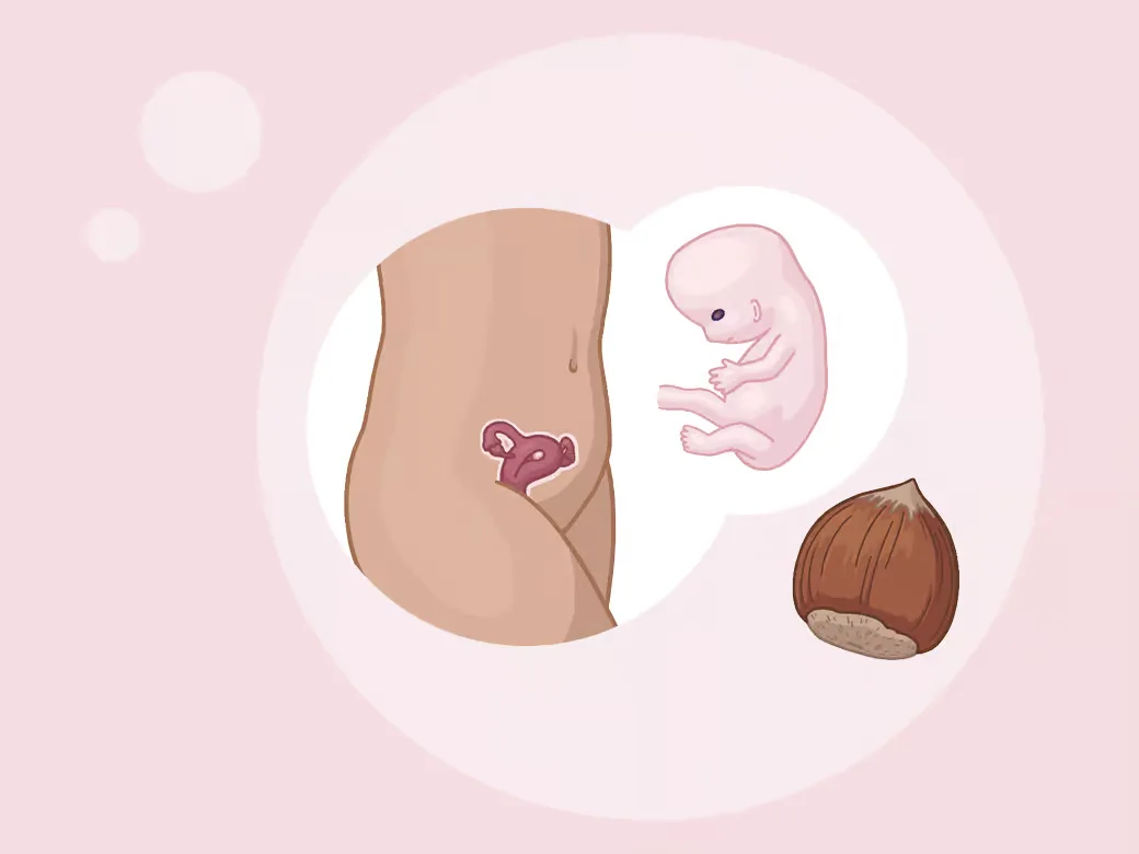Illustration eine eines kindes im mutterleib.