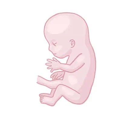 Baby ein, das auf seinem bauch sitzt.