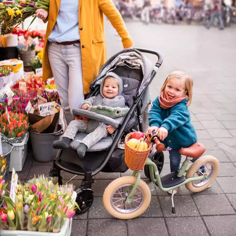 Joie Buggys Komfort