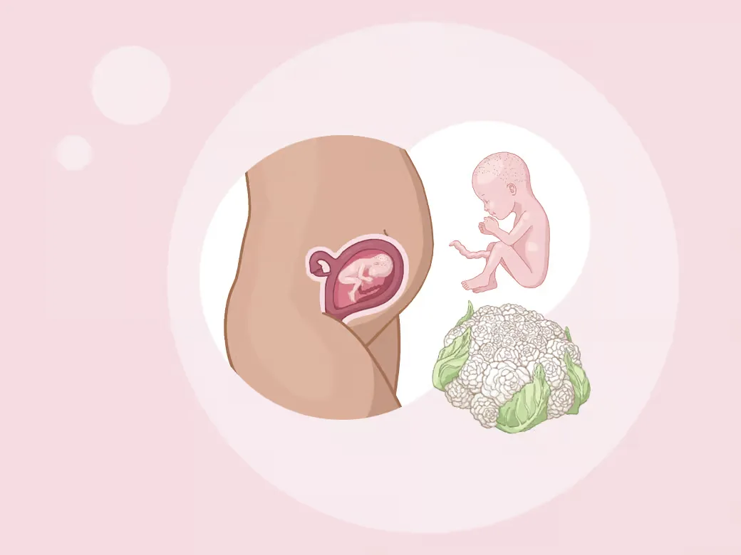 Magen der einer frau mit einem baby im mutterleib.