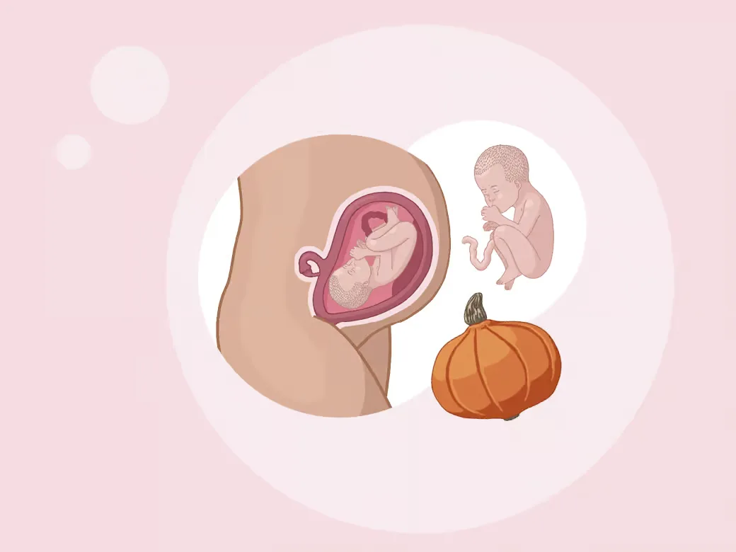 Person eine, die ein baby im magen hält.