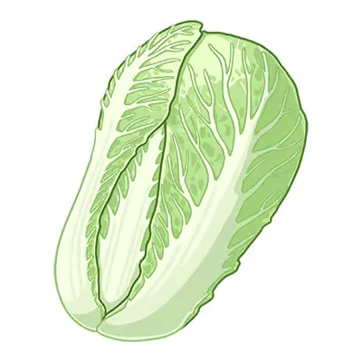 Blatt ein lete auf einem weißen hintergrund.