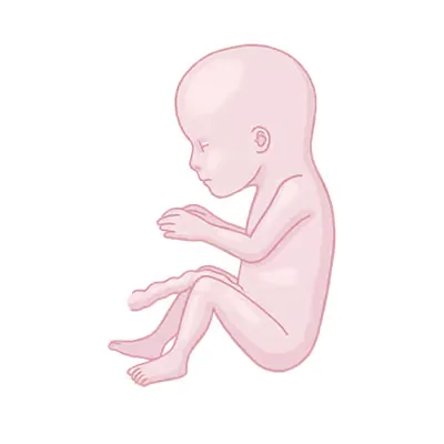 Baby ein, das auf dem boden sitzt.