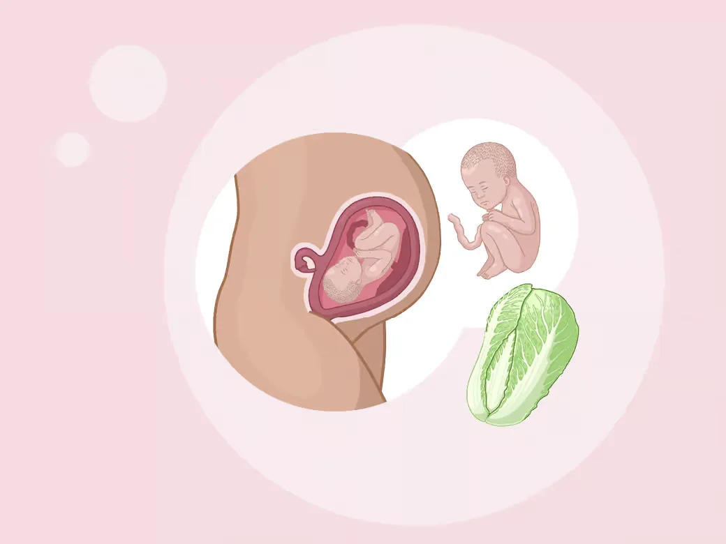 Person eine, die ein baby im magen hält.