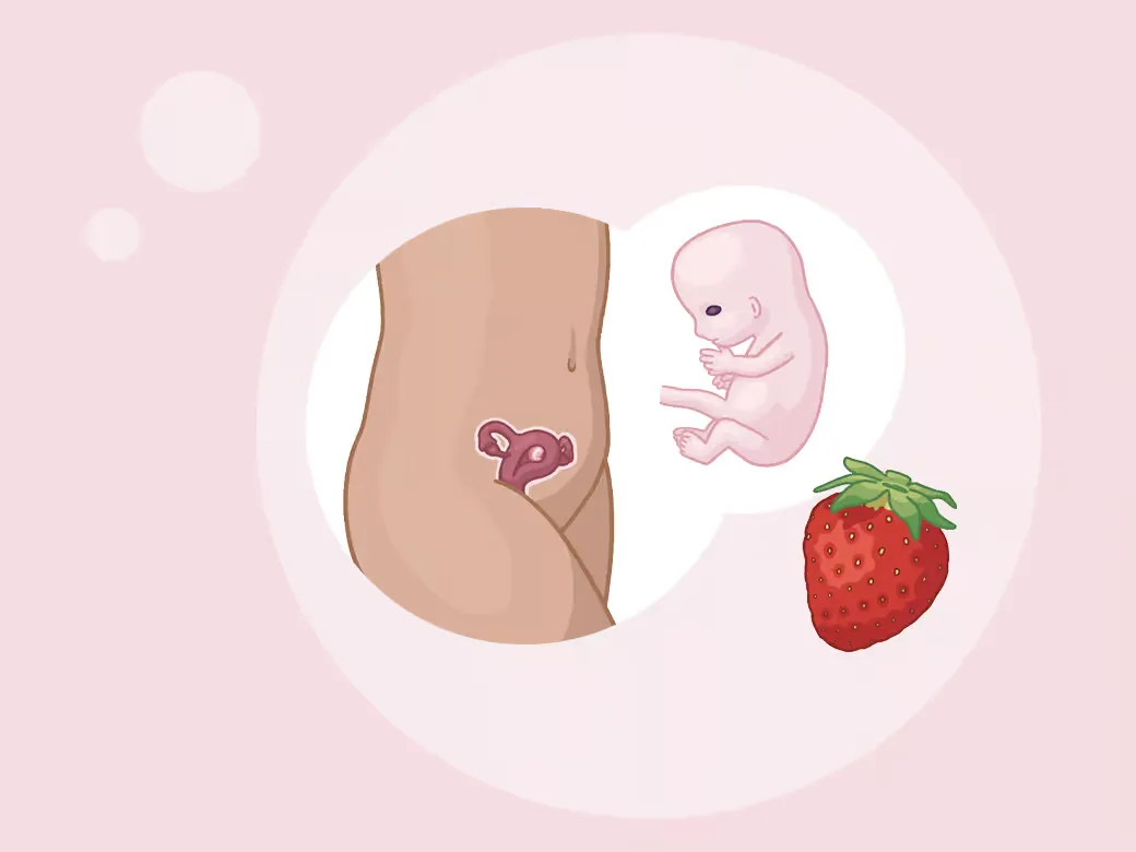Baby ein im mutterleib mit einer erdbeere auf dem bauch.
