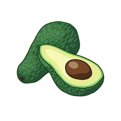 Avocas zwei auf weißem hintergrund.