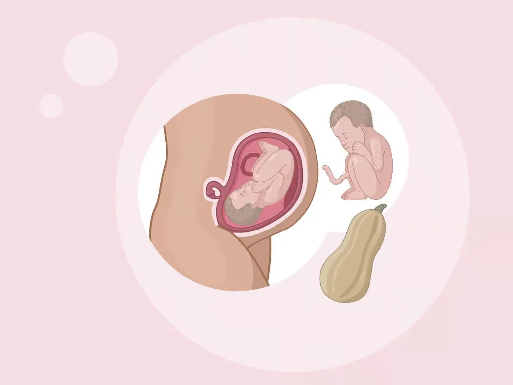 Illustration eine eines kindes im mutterleib.
