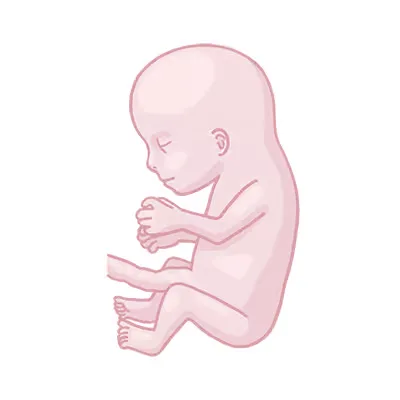 Baby ein, das auf seinem bauch sitzt.
