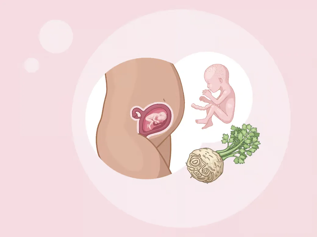 Baby ein im mutterleib und ein im mutterleib.