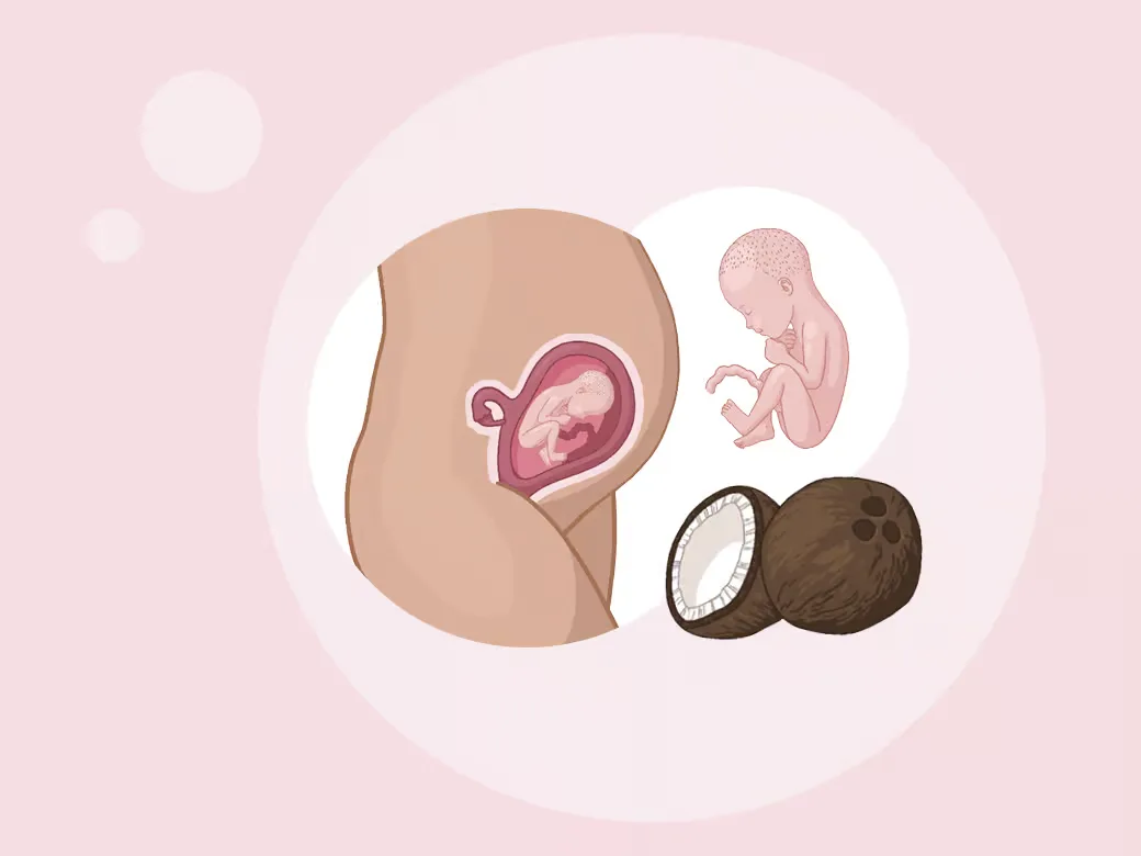 Illustration eine eines kindes im mutterleib und eines erwachsenen im.