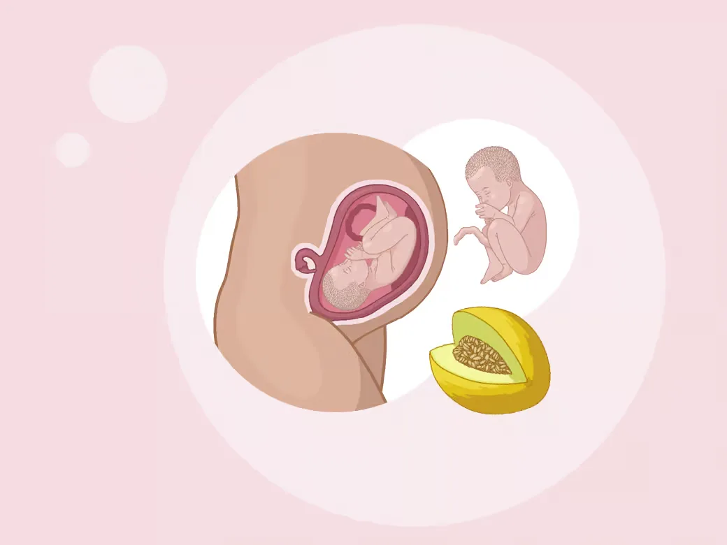 Illustration eine eines babys im mutterleib.