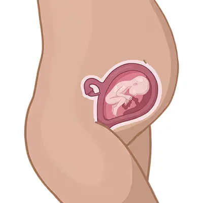Magen einer frau mit einem kleinen int im bauch.