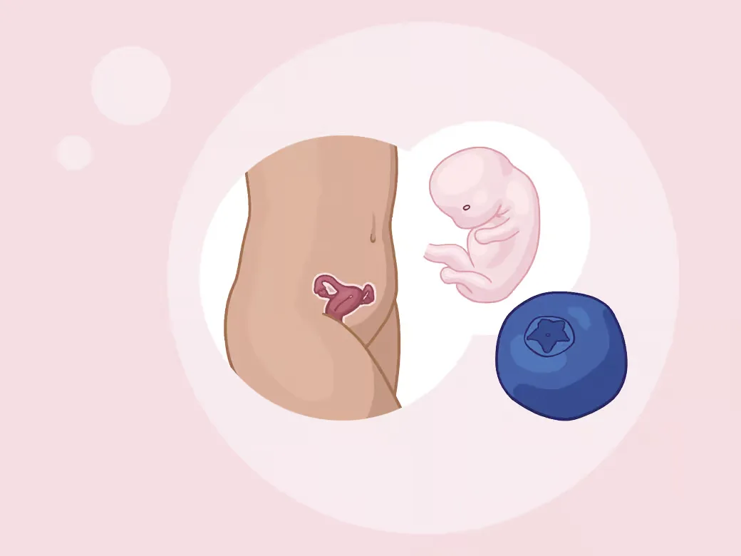 Veranschaulichung eine des mutterleibes und des mutterleibes eines kindes.