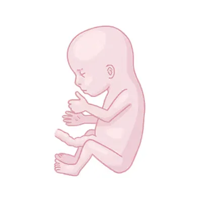 Baby ein, das mit den händen zusammen auf dem boden.
