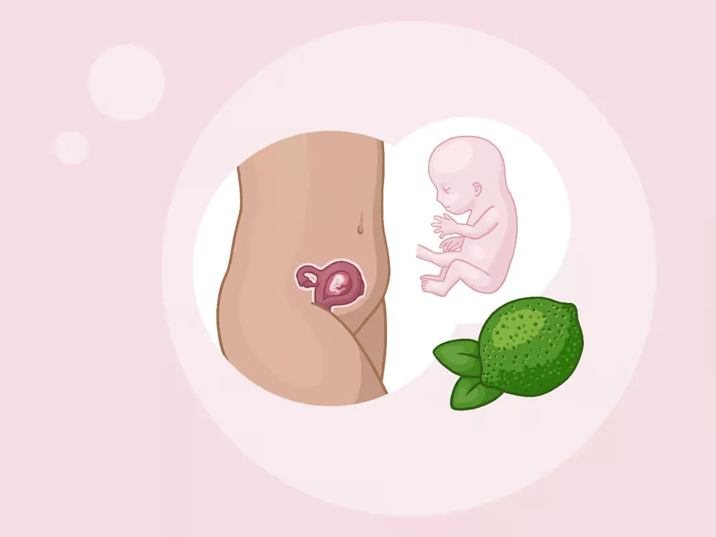 Illustration eine eines kindes im mutterleib.