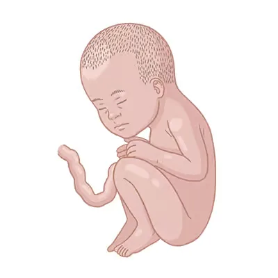 Baby ein, das auf dem boden sitzt, mit den händen.