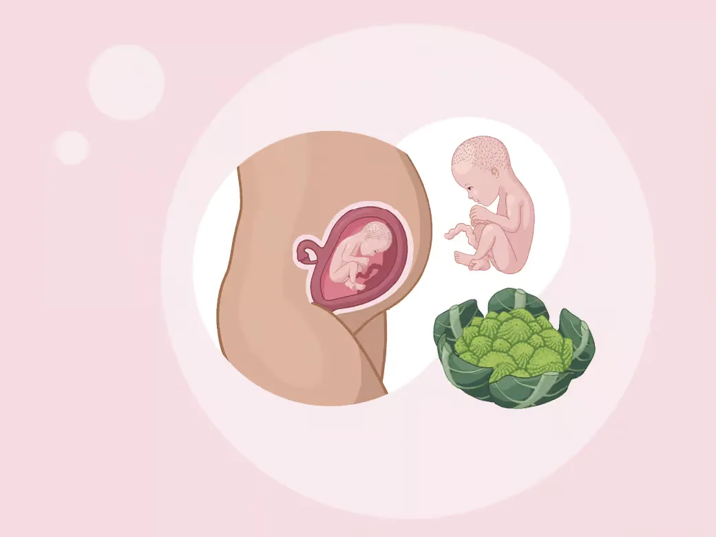 Baby ein in der gebärmutter neben einem in der gebärmutter.