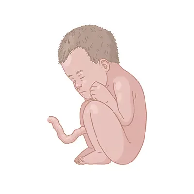 Baby ein, das mit dem kopf auf dem boden sitzt.