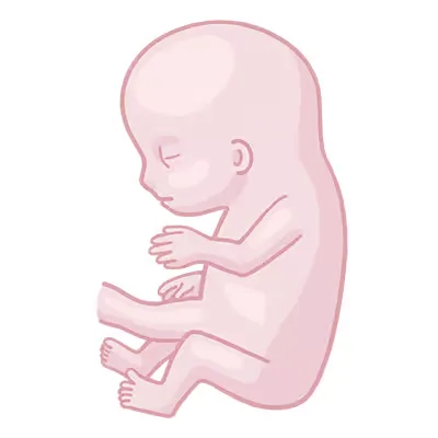 Baby ein, das auf seinem bauch sitzt.