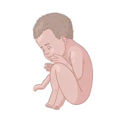 Baby ein, das mit dem kopf in den händen auf.